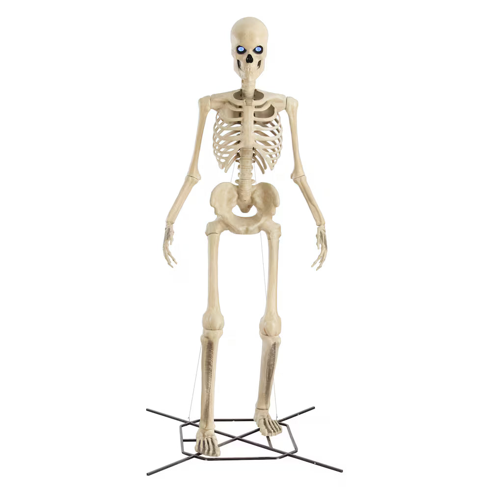 Skelly